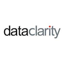 Data Clarity Logo - new simple marketing consultancy client